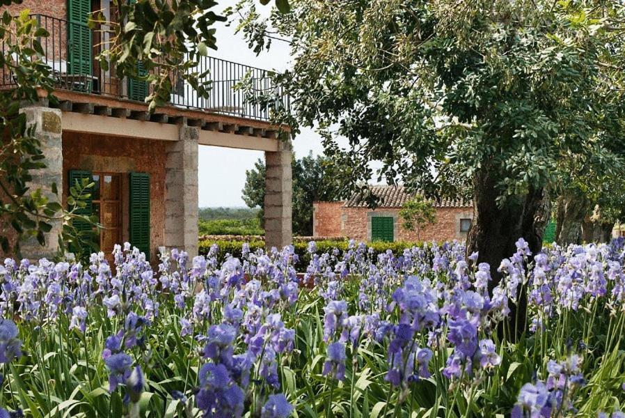 Casa Rural Son Bernadinet Campos  Eksteriør billede